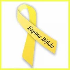 Día internacional de la espina bífida 